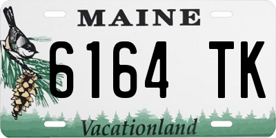 ME license plate 6164TK