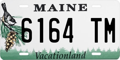 ME license plate 6164TM