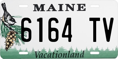 ME license plate 6164TV