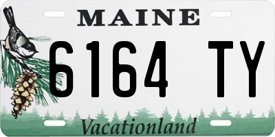 ME license plate 6164TY