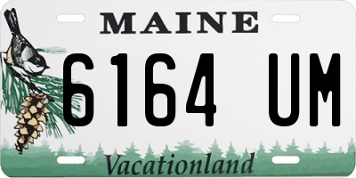 ME license plate 6164UM