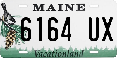 ME license plate 6164UX