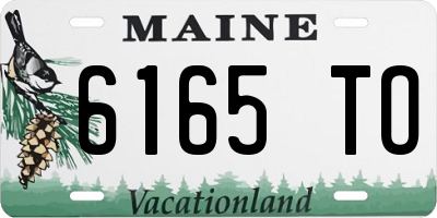 ME license plate 6165TO