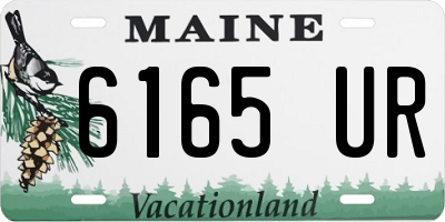 ME license plate 6165UR