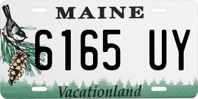 ME license plate 6165UY