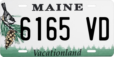 ME license plate 6165VD