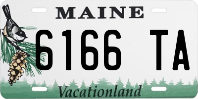 ME license plate 6166TA