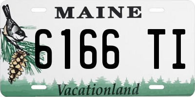 ME license plate 6166TI