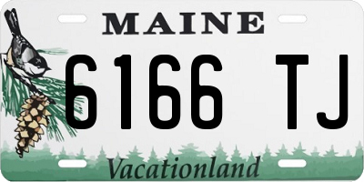 ME license plate 6166TJ