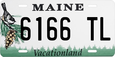 ME license plate 6166TL