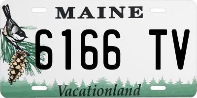 ME license plate 6166TV