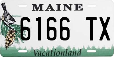 ME license plate 6166TX