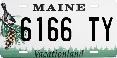 ME license plate 6166TY