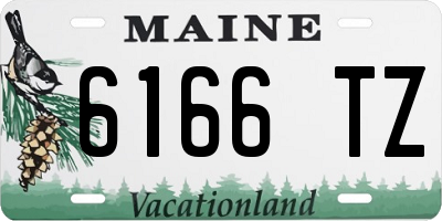 ME license plate 6166TZ