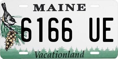 ME license plate 6166UE