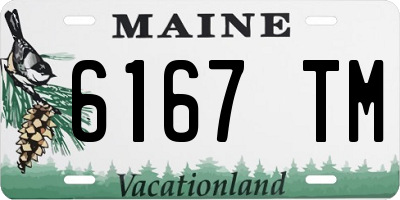 ME license plate 6167TM