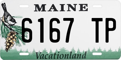 ME license plate 6167TP