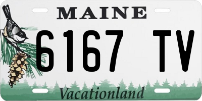 ME license plate 6167TV