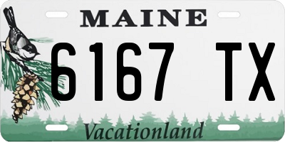 ME license plate 6167TX