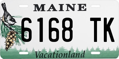 ME license plate 6168TK