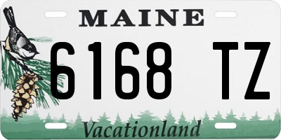 ME license plate 6168TZ