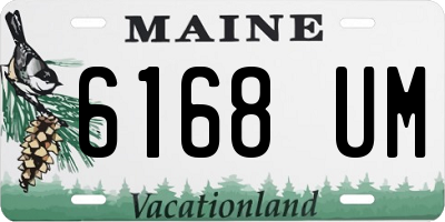 ME license plate 6168UM