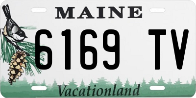 ME license plate 6169TV