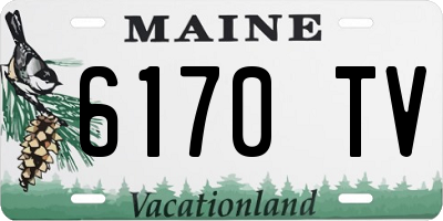 ME license plate 6170TV
