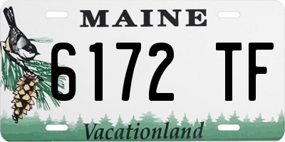 ME license plate 6172TF