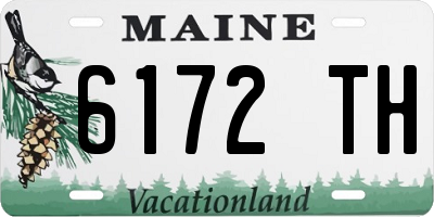 ME license plate 6172TH