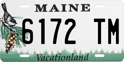 ME license plate 6172TM