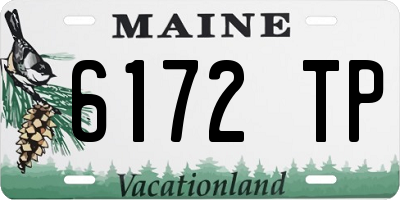 ME license plate 6172TP