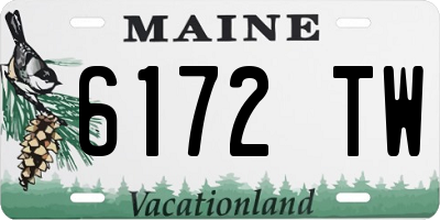 ME license plate 6172TW