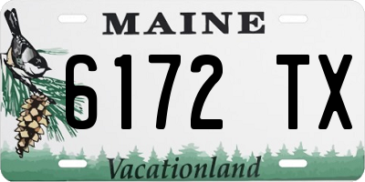 ME license plate 6172TX
