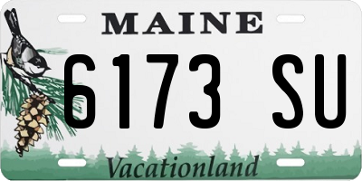 ME license plate 6173SU