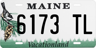ME license plate 6173TL