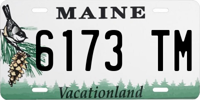 ME license plate 6173TM