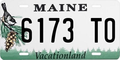 ME license plate 6173TO