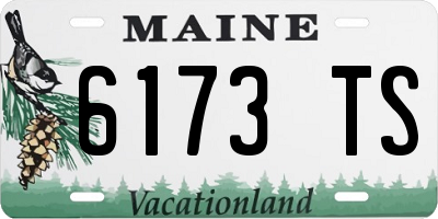 ME license plate 6173TS