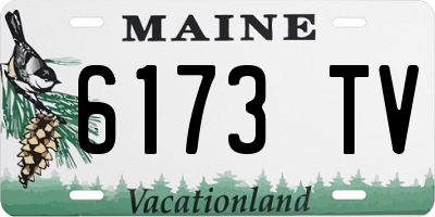 ME license plate 6173TV