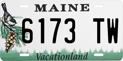 ME license plate 6173TW