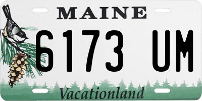 ME license plate 6173UM