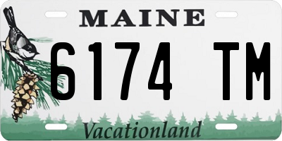 ME license plate 6174TM