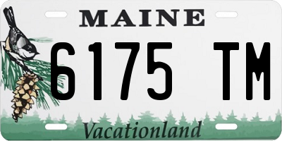 ME license plate 6175TM