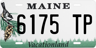 ME license plate 6175TP