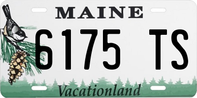 ME license plate 6175TS