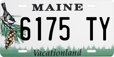 ME license plate 6175TY