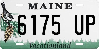 ME license plate 6175UP