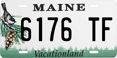 ME license plate 6176TF
