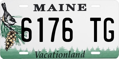ME license plate 6176TG